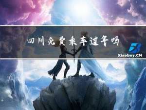 四川免费乘车过年吗