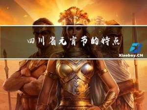 四川省元宵节的特点