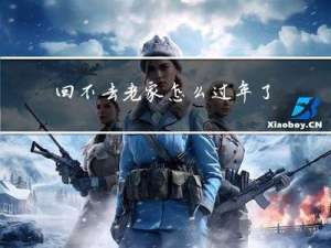 回不去老家怎么过年了
