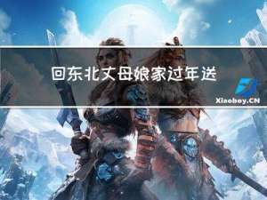 回东北丈母娘家过年送什么