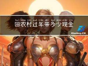 回农村过年带多少现金