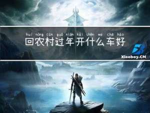 回农村过年开什么车好点