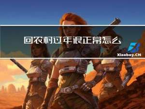 回农村过年很正常怎么形容