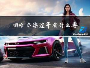 回哈尔滨过年有什么要求
