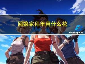 回娘家拜年用什么花