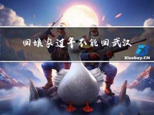 回娘家過年不能回武漢嗎