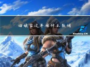 回娘家过年用什么歌词