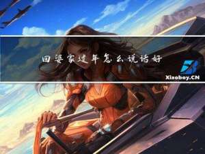 回婆家过年怎么说话好听