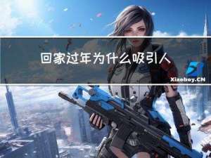 回家过年为什么吸引人