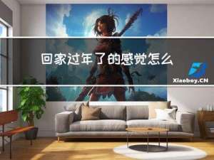 回家过年了的感觉怎么写