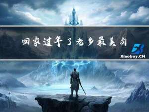 回家过年了老乡最美句子