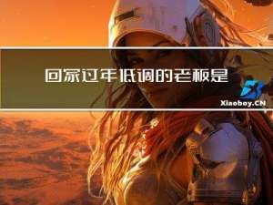 回家过年低调的老板是谁
