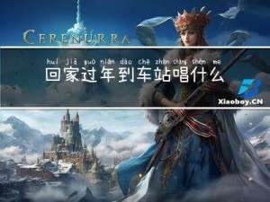 回家过年到车站唱什么歌