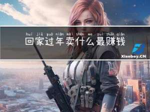回家过年卖什么最赚钱女生