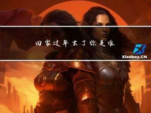 回家过年去了你是谁