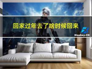 回家过年去了啥时候回来