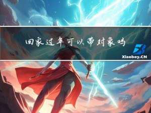 回家过年可以带对象吗吗