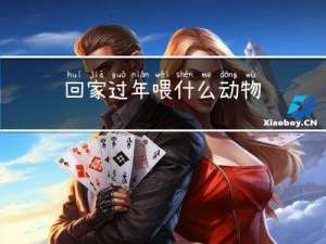 回家过年喂什么动物
