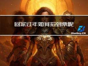 回家过年如何抢到票呢