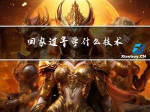 回家过年学什么技术