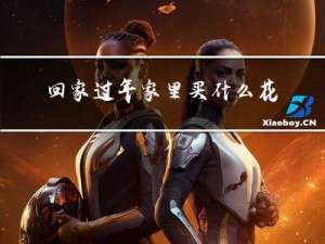 回家过年家里买什么花好