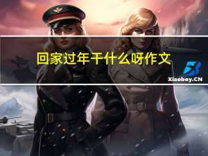 回家过年干什么呀作文