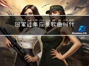 回家过年应景歌曲叫什么