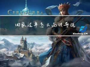 回家过年怎么向领导说话