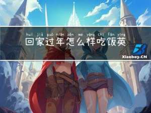 回家过年怎么样吃饭英文