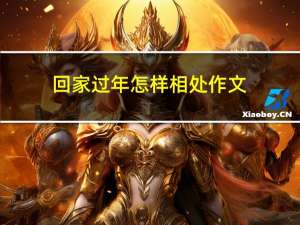 回家过年怎样相处作文