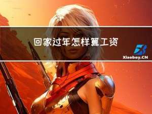 回家过年怎样算工资