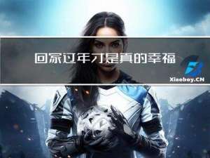 回家过年才是真的幸福作文