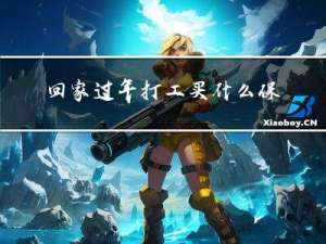 回家过年打工买什么保险