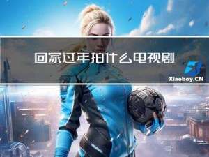 回家过年拍什么电视剧