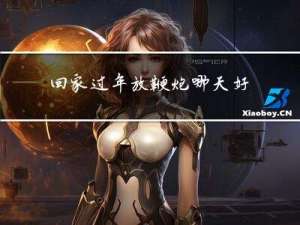 回家过年放鞭炮哪天好了