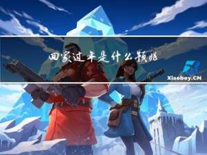 回家过年是什么预兆