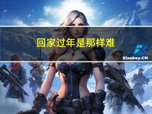 回家过年是那样难