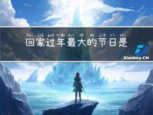 回家过年最大的节日是什么