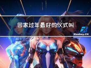 回家过年最好的仪式叫什么