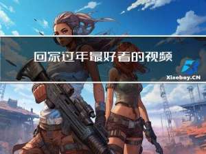 回家过年最好看的视频是