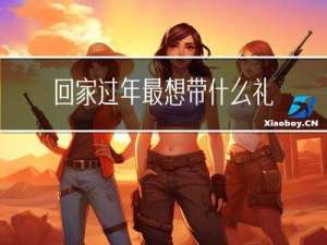 回家过年最想带什么礼物