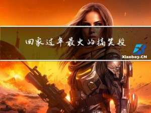 回家过年最火的搞笑段子