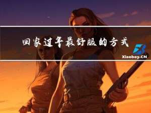 回家过年最舒服的方式作文
