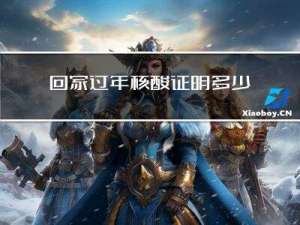 回家过年核酸证明多少钱