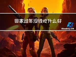 回家过年没钱吃什么好呢
