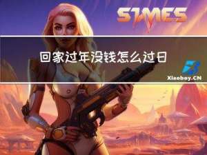 回家过年没钱怎么过日子