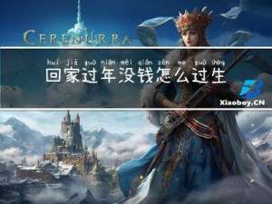 回家过年没钱怎么过生日