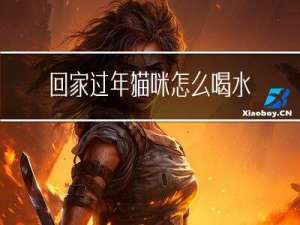 回家過年貓咪怎么喝水的