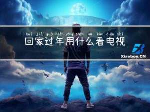 回家过年用什么看电视剧