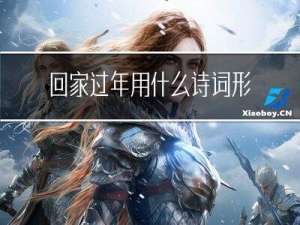 回家过年用什么诗词形容